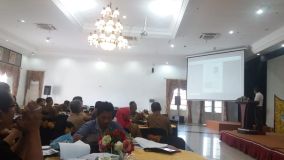 WhatsApp Image 2018-05-11 at 19.44.24.jpeg